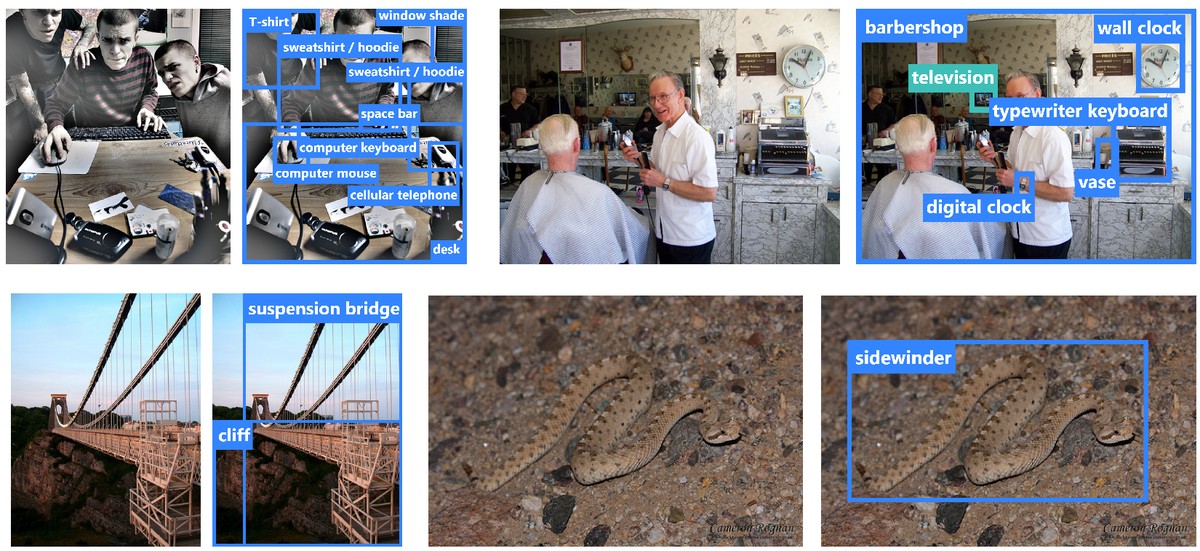 Original vs. reannotated ImageNet labels
