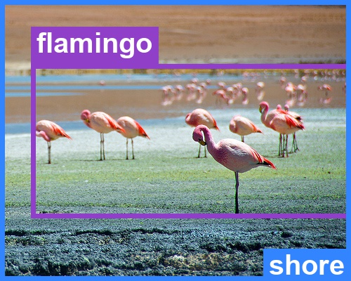 Crowd example